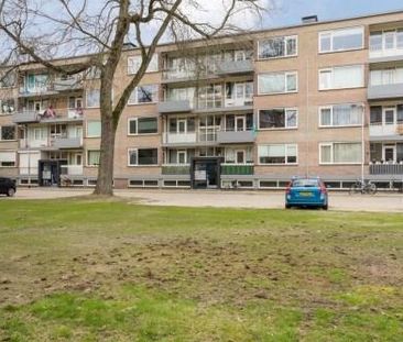 Europalaan 0ong, 5042 Tilburg, Nederland - Photo 3