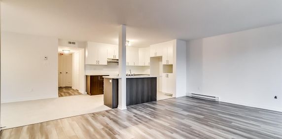 124 Rue Katimavik (Aylmer) Beau Logement 2 Chambres - À Voir Absolument! - Photo 2