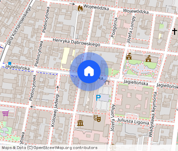 Duże mieszkanie w odremontowanej kamienicy - Zdjęcie 1