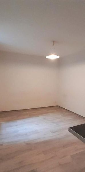 Location Appartement 1 pièce 17m² CLERMONT FERRAND 63000 - Photo 1