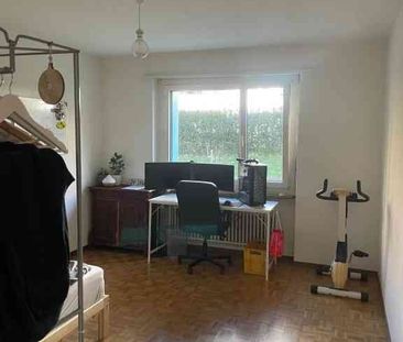 2 Zimmer, 53 m², EG - Foto 3