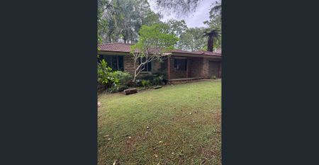 LEAFY LOCATION - Photo 4