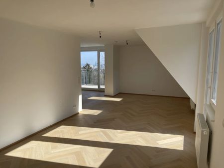 PENTHOUSE LIVING - ATEMBERAUBENDER WIENBLICK - DREI RIESEN TERRASSEN - ERSTBEZUG!! - Foto 5