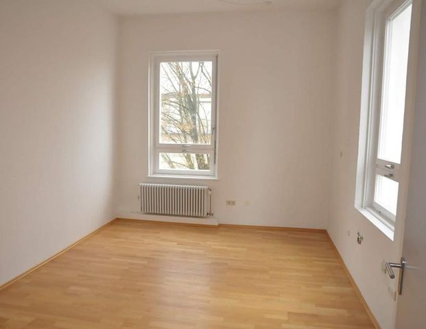 Geräumige, sanierte 2,5-Zimmer-Wohnung mit gehobener Innenausstattung zur Miete in Augsburg - Photo 1