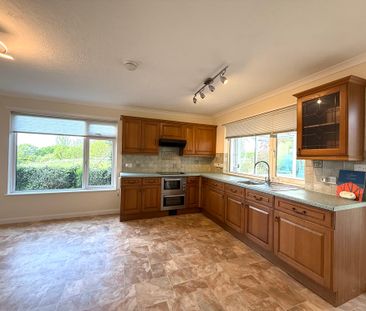 3 bed detached bungalow to rent, Crediton, EX17 - Photo 5