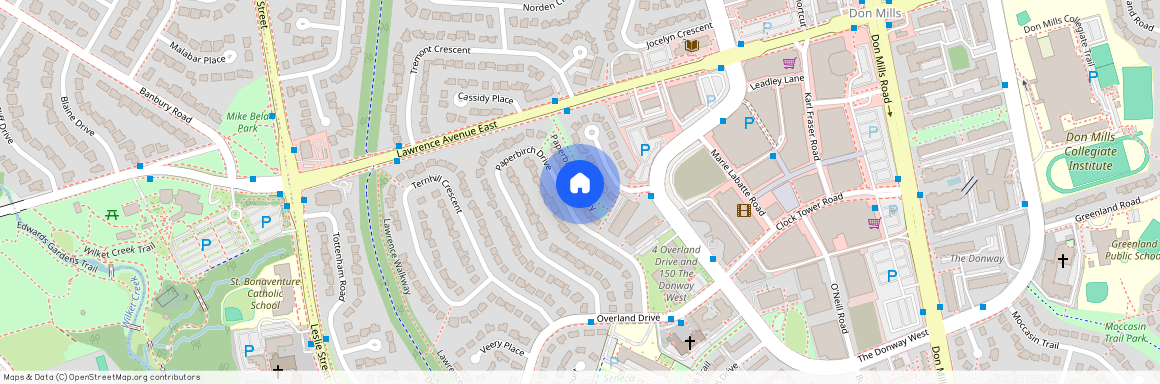 LOWER 60 Paperbirch Drive, Banbury-Don Mills, Toronto, M3C 2E7