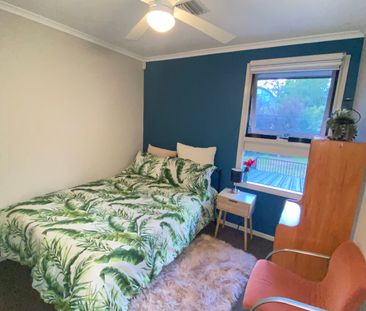 Belconnen - Photo 6
