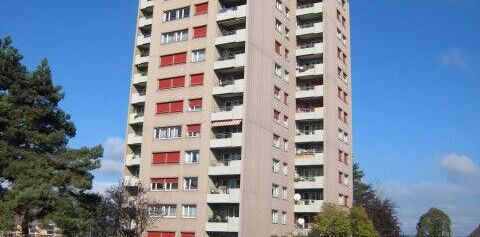 Simple apartment within walking distance of Amriswil train station - Photo 2