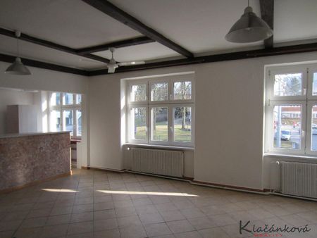 Pronájem bytu 1+kk 45 m² - Fotografie 5