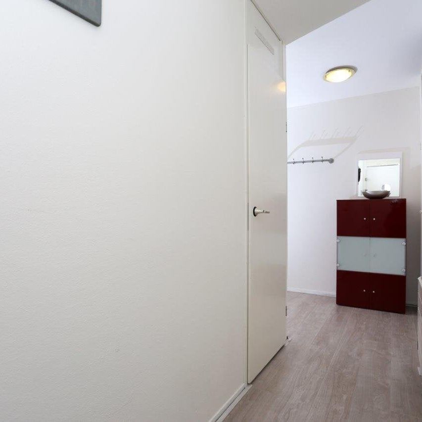 Te huur: Appartement Palaceplein in Den Haag - Foto 1