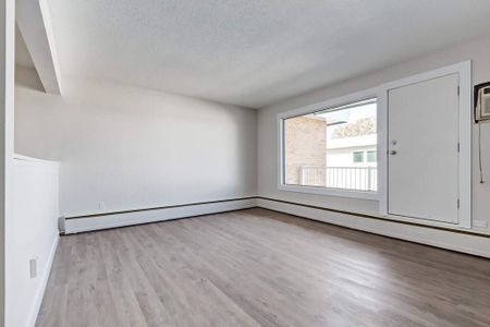 Renovated Suite - 1 Bedroom - Photo 4
