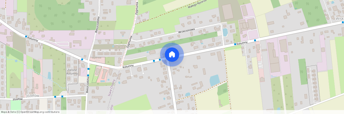 ul. Kolumny, Wiskitno, Górna, Łódź, łódzkie