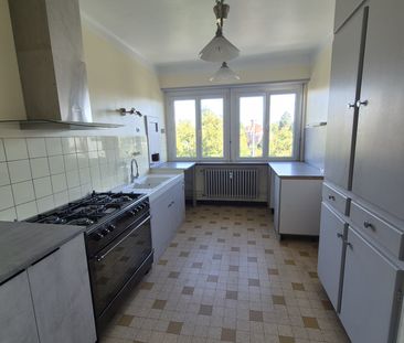 location Appartement 5 pièces à Colmar - REF 383-26 RS - Photo 4