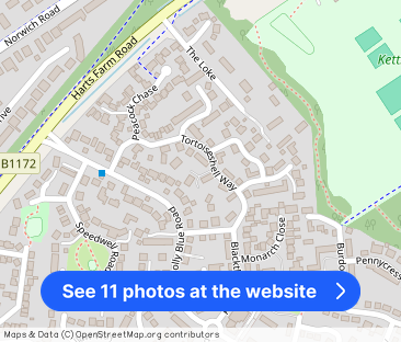 Tortoiseshell Way, WYMONDHAM - Photo 1