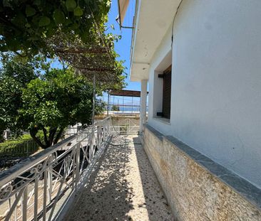Διαμέρισμα για ενοικίαση Παραλία Μαρκόπουλου Ωρωπού (Μαρκόπουλο Ωρω... - Photo 3