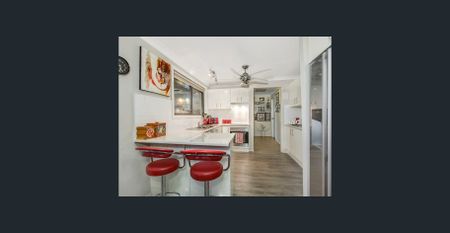 ENTERTAINERS DELIGHT! - Photo 2