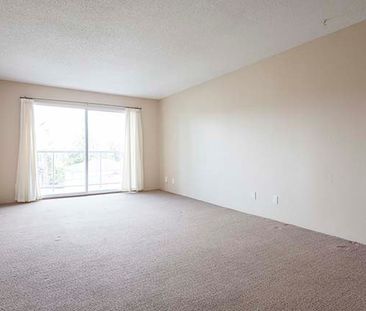 Mayfair Manor Apartments - 1 Bedroom - Photo 3