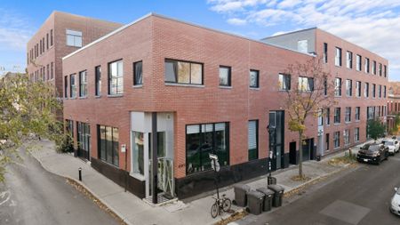 Condo for rent, Montréal (Le Plateau-Mont-Royal) - Photo 4