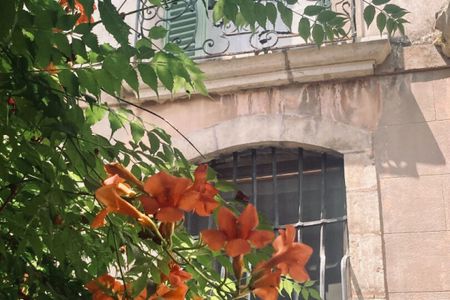 Maison Pignans - Habitat Partagé - 10 pièce(s) 380 m2 - Photo 4