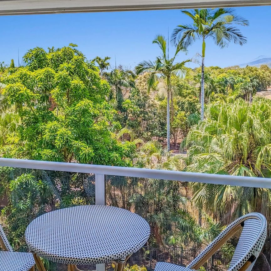 RENT IN PARADISE | Palm Cove 347/305-341 Coral Coast Drive, Palm Cove - Photo 1
