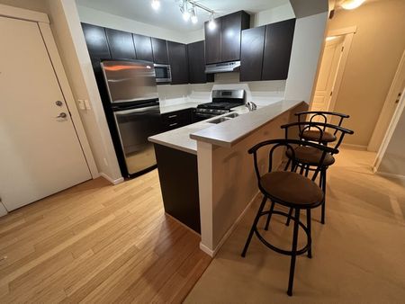 Exceptionally Spacious Furnished Ground Level 2 bed/2 bath near SFU - Photo 3