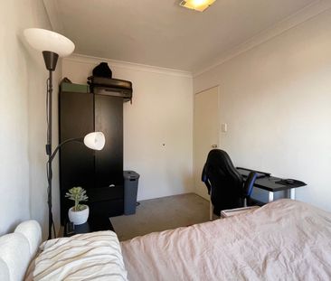 Surry Hills - Photo 6