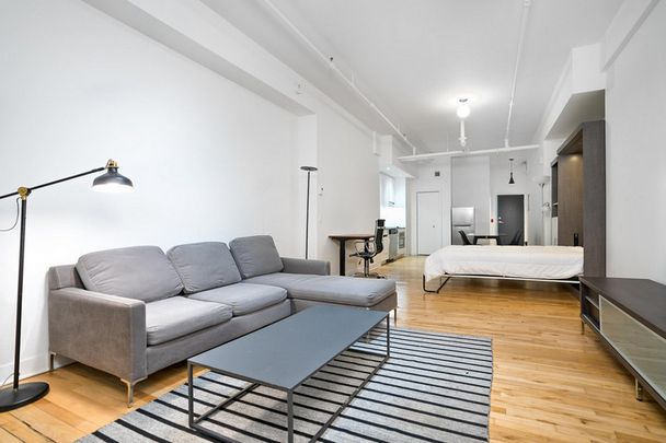 Furnished Loft - Photo 1