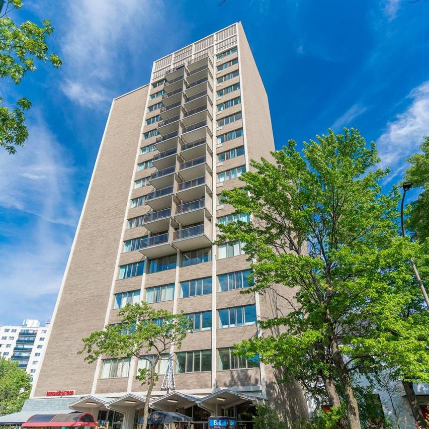 3.5 Avec Vue Magnigfique, Renové! Beautiful 3.5 With Views, Renovated - 1010 Cherrier, Montréal - Photo 1