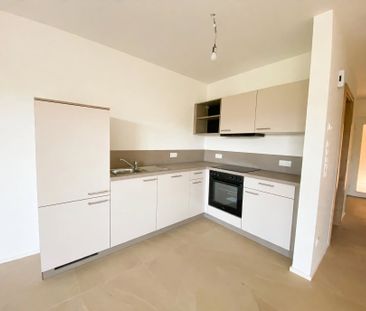 Neubau in Grafendorf bei Hartberg – Exklusive 3-Zimmer Mietwohnung ... - Foto 6