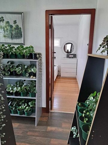 Home in Onehunga - Photo 5