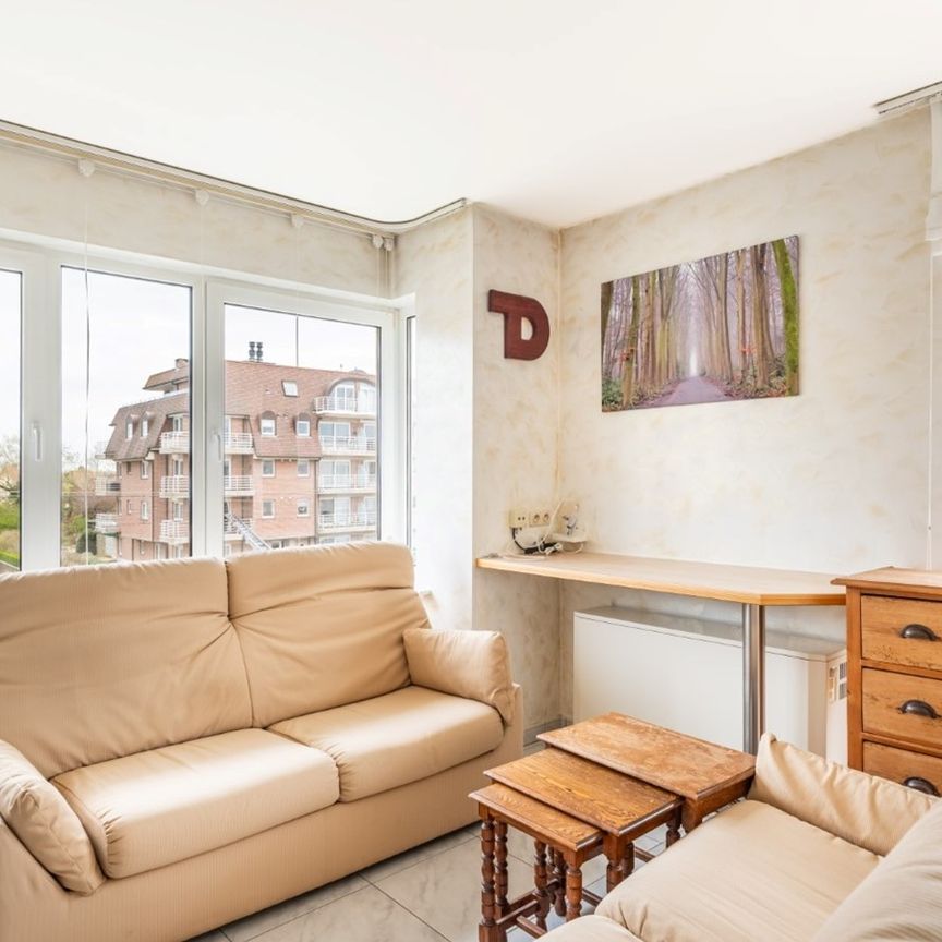 Campanula - 01.02 - Photo 1