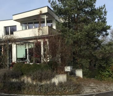 2.5 Zimmer, 60 m² - Photo 4