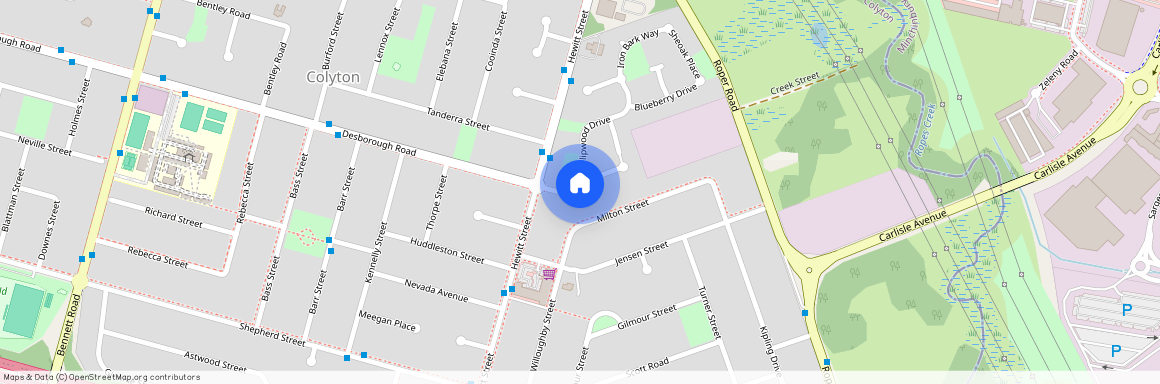 13 Tulipwood Drive, NSW 2760, Colyton