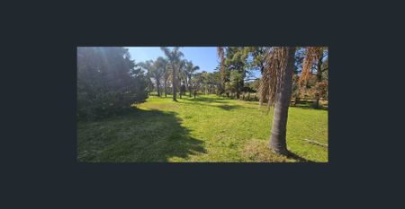 Land for Lease – Flexible Sizes up to 10,000m² - Photo 5