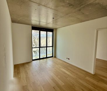 5 pièces NEUFS & TRAVERSANTS à Carouge - Photo 1
