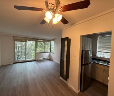 #303 – 1219 HARWOOD ST VANCOUVER - Photo 1