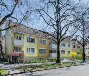 Ruhiges Wohnquartier in Riehen - Photo 3