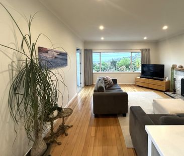 535 Waimea Road, Annesbrook, Nelson - Photo 5