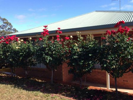 Flora Hill - Photo 4