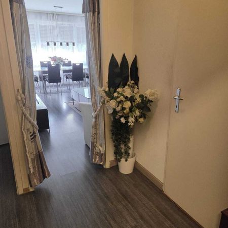 3½-ROOM APARTMENT IN GRAND-LANCY (GE), FURNISHED, TEMPORARY RENTAL - Foto 4