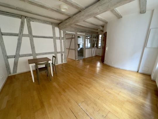 Appartement 4 pièces à Strasbourg - Photo 1
