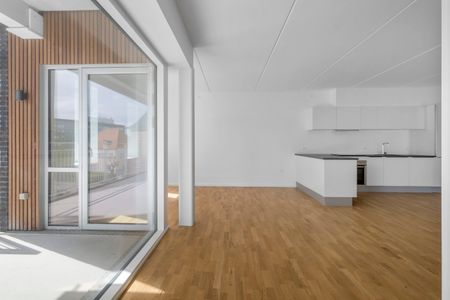 Lys og indbydende lejlighed med stor altan i Aalborg - Photo 4