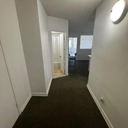 GHETTO MCGILL- 3 1/2 ENSOLLEILLÉ - 1 CHAMBRE FERMÉE - Photo 3