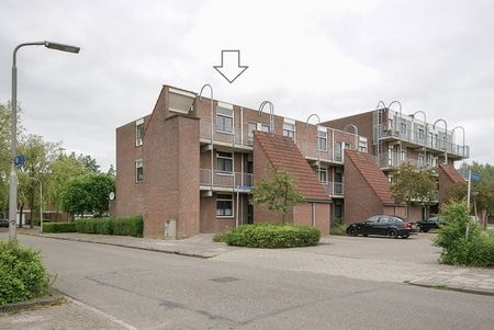 Te huur: Appartement Aggemastate 60 in Leeuwarden - Foto 4