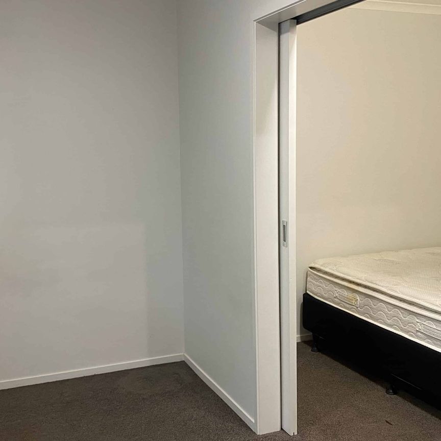 5/2 Rm A Palmerston Street - Photo 1