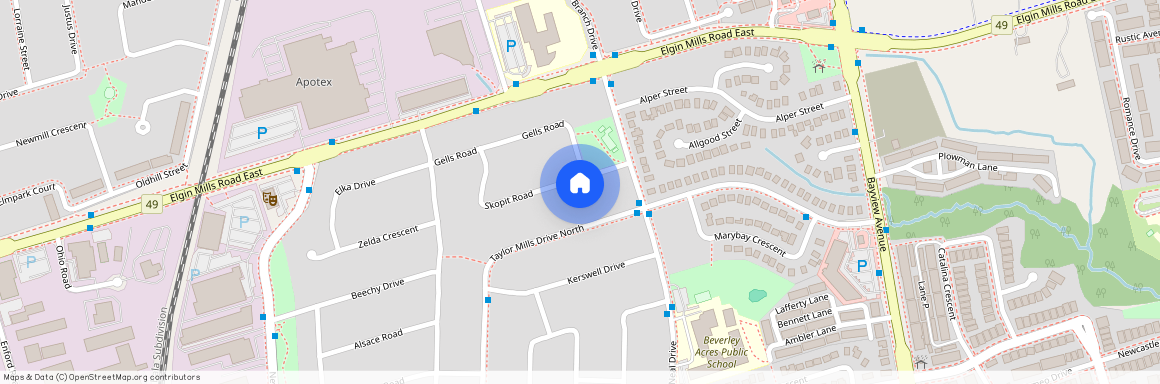 336 Skopit Road, Richmond Hill