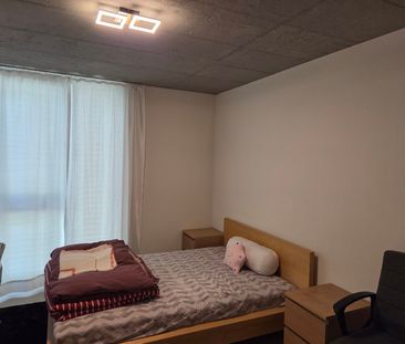 3½ ZI-WOHNUNG IN SCHLIEREN (ZH), MÖBLIERT, TEMPORÄR - Foto 6