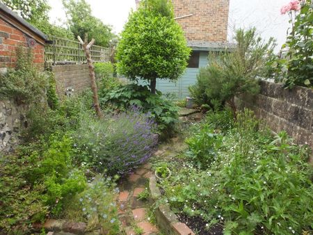 2 bedroom terraced house to rent - Photo 4