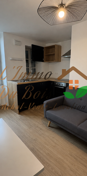 Location Appartement 1 pièce 29m² TOURNON SUR RHONE 07300 - Photo 1