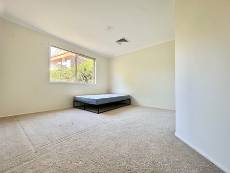 Castle Hill - Photo 5